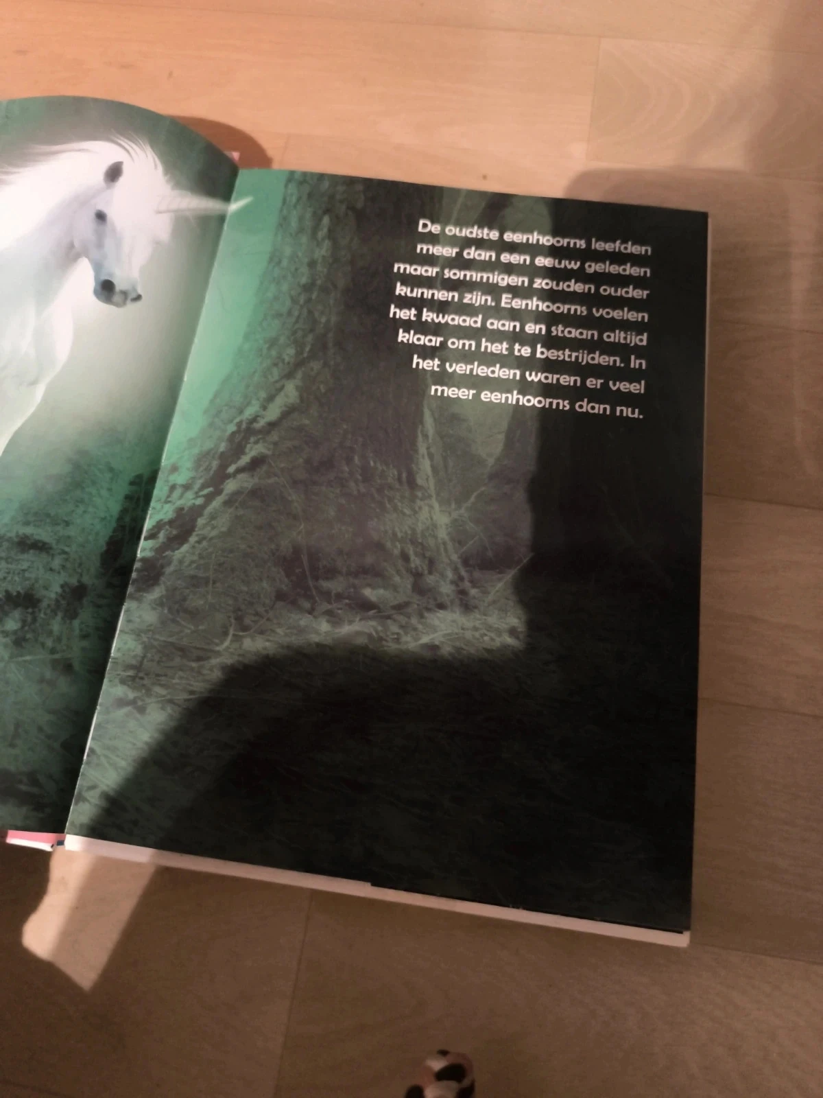 Libros de rompecabezas unicornio – photo 3